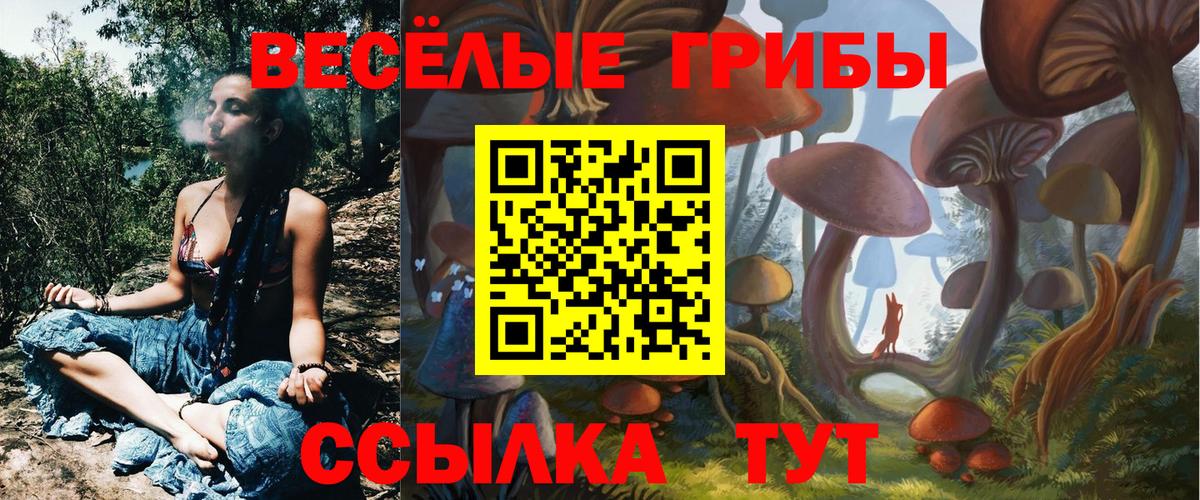 Галлюциногенные грибы мицелий  Псилоцибиновые грибы Cubensis  Вход с VPN  Петровск 